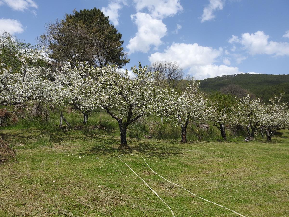 Casas Arbillas Arenas de San Pedro Kültér fotó