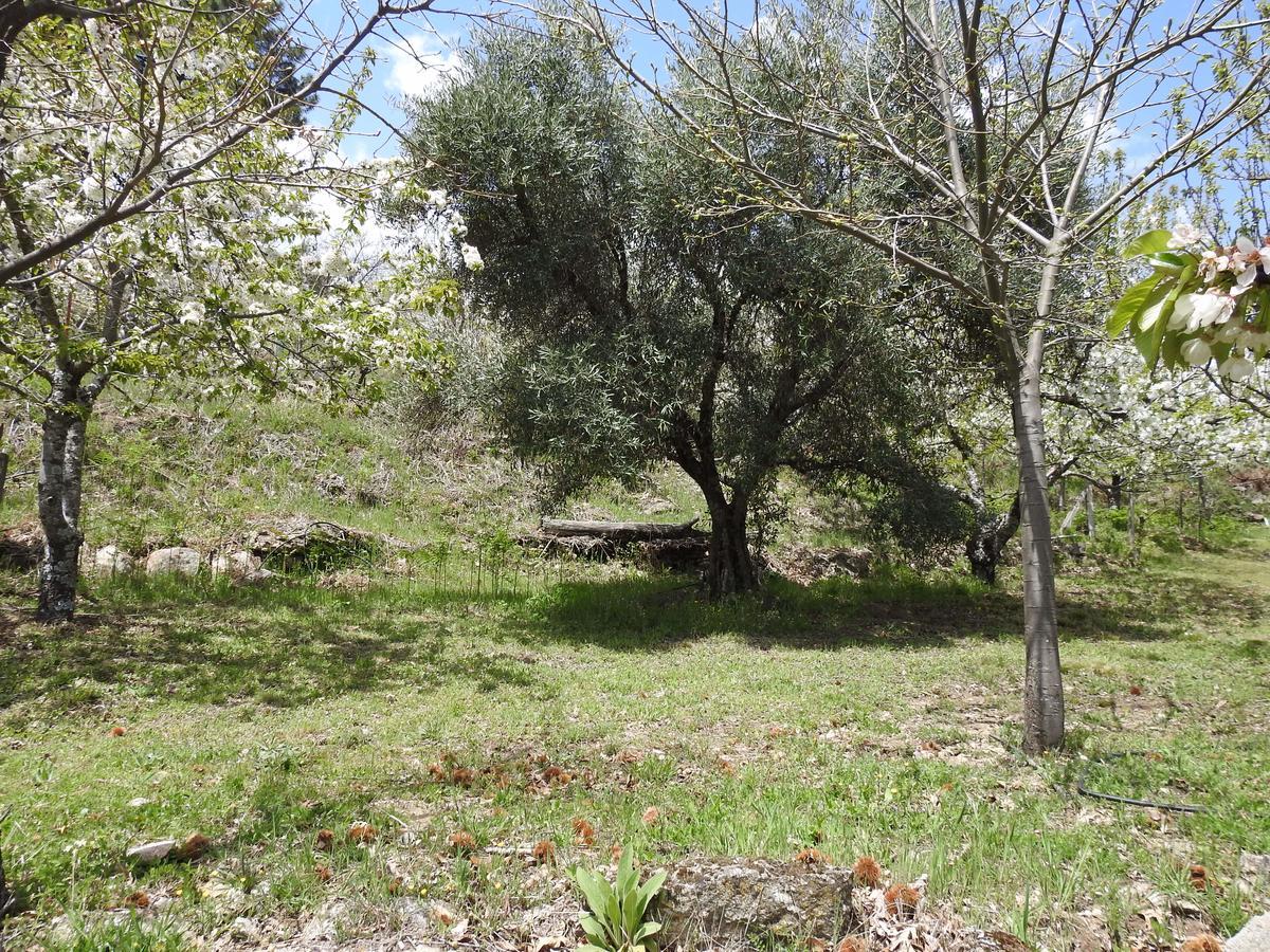 Casas Arbillas Arenas de San Pedro Kültér fotó